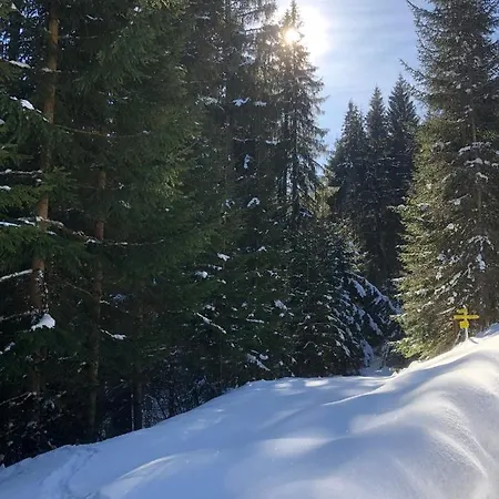 Paradise On Mountain